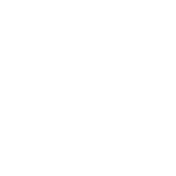 البريد الإلكتروني :